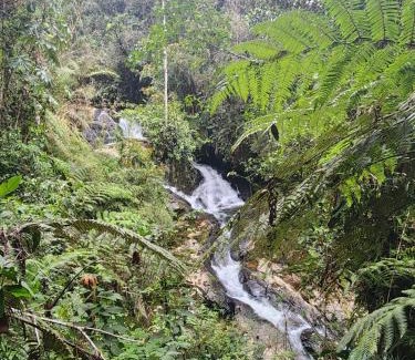 Antioquia Casa | LA SERENA reserva natural