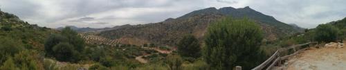 Ardales Casa | La solana de turon. El pino