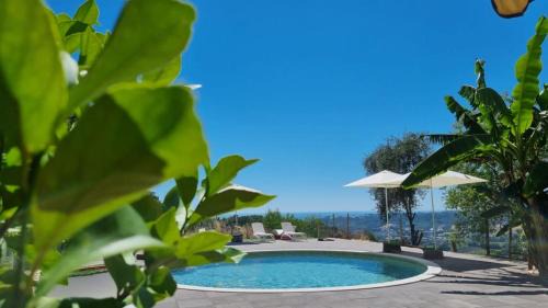Massignano Cama Y Desayuno | La Sorgente Country House