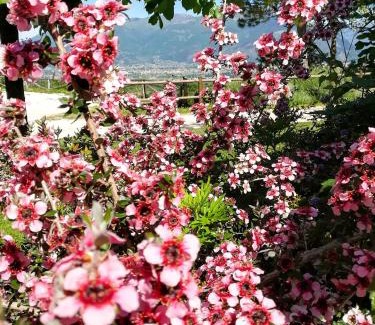 Arpino Casa | La Staccionata
