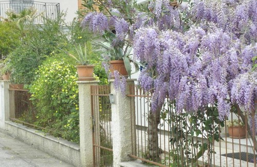 Giulianova Casa | La Suite Di Rita
