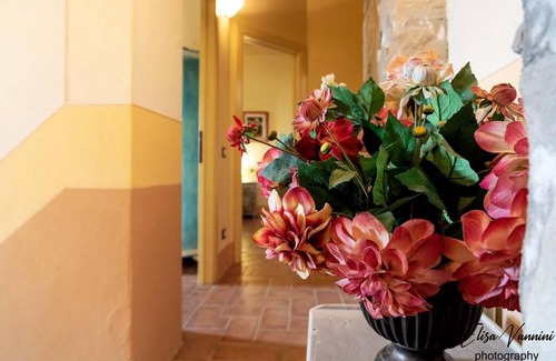 Peccioli Apartamento | La Tana Buona