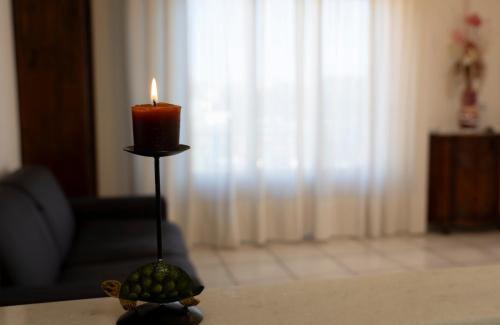 Siena Apartamento | La Tartaruga