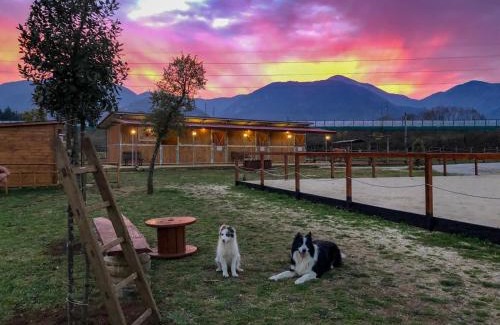 Patrica Casa | La Tenuta del Campo di Sopra