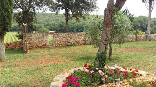 San Gimignano Casa | La Tenuta di Castelvecchio