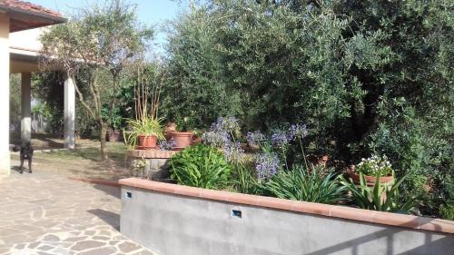 Reggello Apartamento | La Terrazza di Cascia