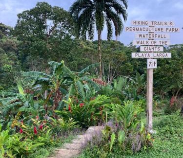 Isla Bastimentos Cabina | La Tierra Del Encanto