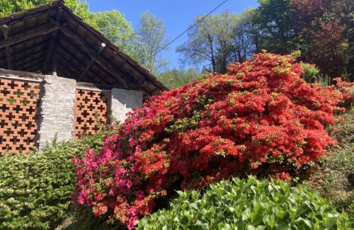 Orta San Giulio Cama Y Desayuno | La Tonaccia - B&B per due