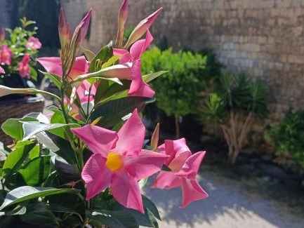 Tarquinia Apartamento | La Torre