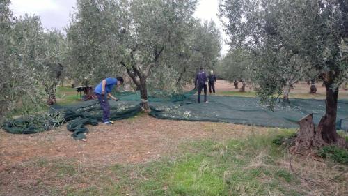 L'Assunta Apartamento | La TORRETTA AFFITTI BREVI