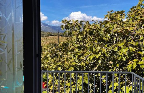 Figari Cama Y Desayuno | La Tramulaccia