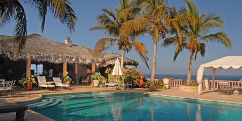 Vinorama Cama Y Desayuno | La Valise Los Cabos