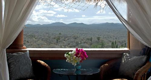 Vinorama Cama Y Desayuno | La Valise Los Cabos