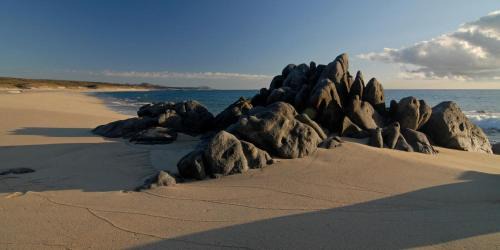 Vinorama Cama Y Desayuno | La Valise Los Cabos