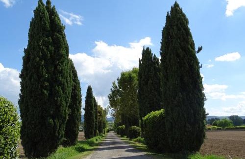 Narni Cama Y Desayuno | La Vecchia Stalla B&B