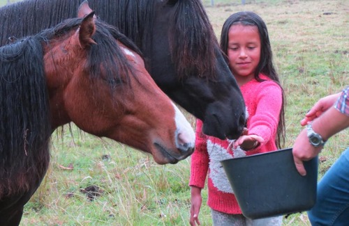 Arcabuco Otro | La Victoria Glamping