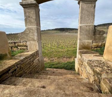 Pommard Casa | La Vignedard avec Sauna privé au coeur des vignes
