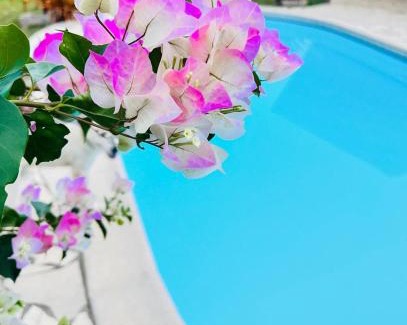 Matoury Casa | La Villa Louisia