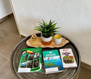 Matoury Casa | La Villa Louisia