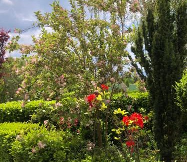 Cournon-dʼAuvergne Cama Y Desayuno | La Villa Victoria Auvergne
