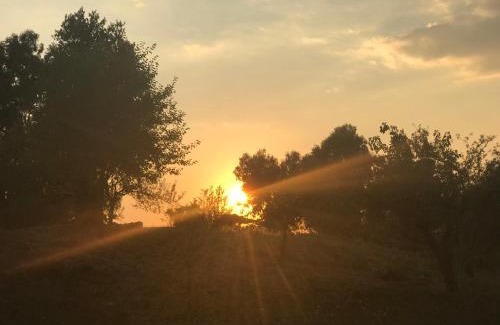 Zona XXI Torricola Casa | La villetta dei sogni nel Parco