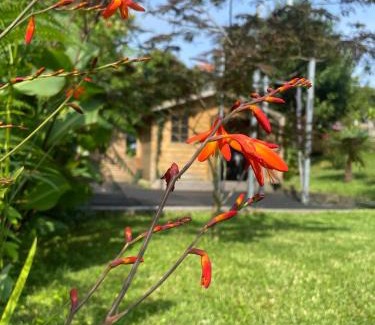 Bidart Casa | La Wodapalousa, Surf & Crossfit Guesthouse, 800m from Beach