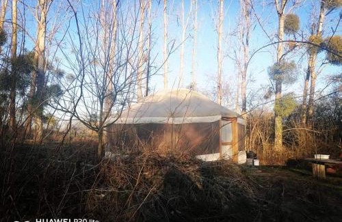 Xhoris Otro | La yourte au fonds du jardin