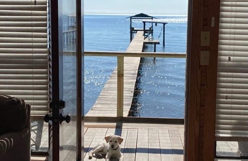 Fairhope Cabina | Disponibilidad de última hora de vacaciones de primavera debido a la cancelación!