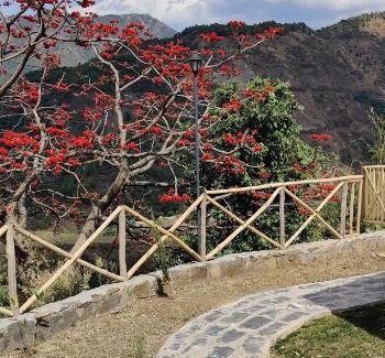 Shimla Complejo | LaCasa, Luxury Stays