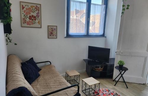 Besancon Old Town Apartamento | Laelia place Rivotte