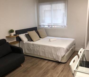 Milla de Oro Apartamento | Lagasca Charming Apartment