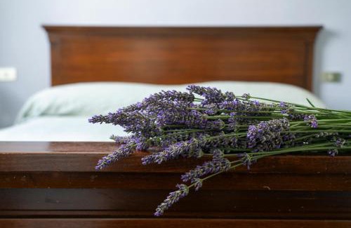 Casalzuigno Apartamento | Lago Maggiore a 10 minuti "Cascina Lavanda"