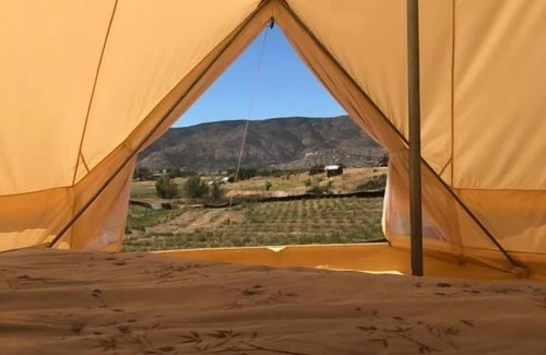 Valle de Guadalupe Hotel | Lago Valle Wine Glamping