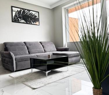 Zarzecze Apartamento | Laguna Beskidów Resort - Apartament A74