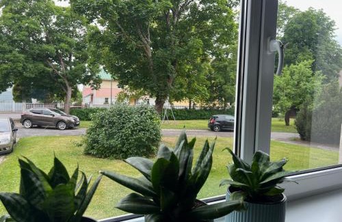 Haapsalu Apartamento | Lahe külaliskorter