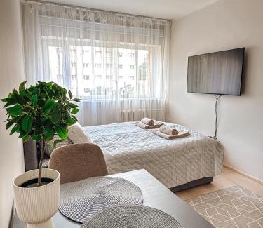 Parnu Apartamento | Laine Studio Apartment