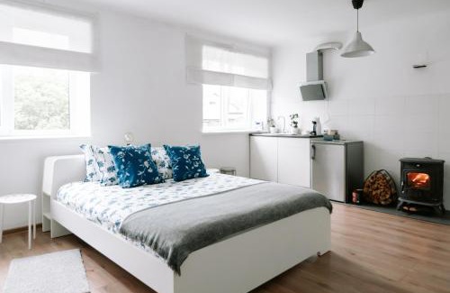 Aluksne Apartamento | Lake Aluksne studio apartment