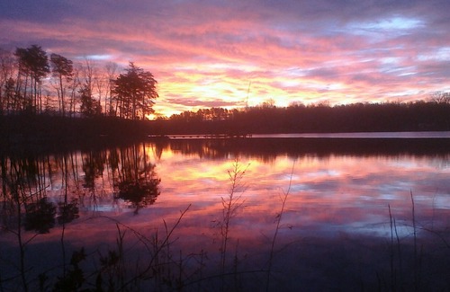 Bumpass Cabina | Lago Anna Log Cabin Life