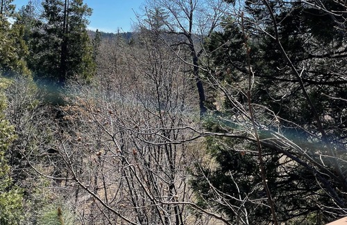 Blue Jay Casa | Lake Arrowhead LARGE family cabin in the forest. DUEL Suite. Privacy. Hot tub