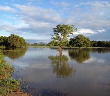 Dambulla Casa | lake Edge Dambulla
