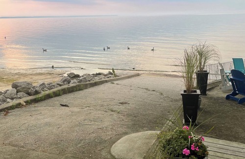 Hamilton Cabaña | LAKE ERIE WATERFRONT COTTAGE. SLEEPS UP TO 7, JUST BRING YOUR BATHING SUIT.