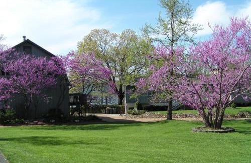 Big Cedars Apartamento | Lake Front King Suite: Full Kitchen-Lakefront Deck- Shared Hot Tub