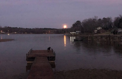 Waterloo Casa | Lake Greenwood Waterfront Home: fenced yard, private boat ramp & dock