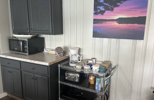 Pine River Casa | Lake Home-HUGE Sandy Beach Ski, swim, fish Full recreational lake