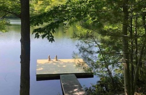 Godeffroy Casa | Lake House in the Forest