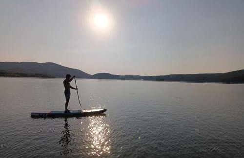 Fardea Casa | Lake House Surduc
