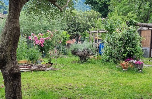 Castello Apartamento | Lake Maggiore independent apartment max 2-3 people. Beaches, treks, relaxation and sun