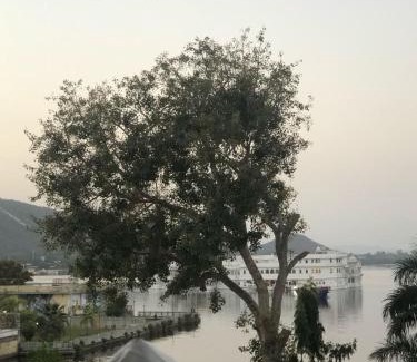 Udaipur District Hotel | Lake Pichola Hibiscus Hotel