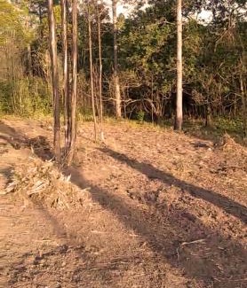 Hibiscus Coast Otro | Lake side Caravan site - 1500 square meters of nature & private fishing