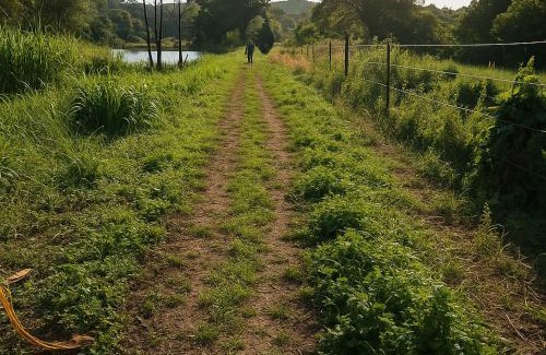 Hibiscus Coast Otro | Lake side Caravan site - 1500 square meters of nature & private fishing